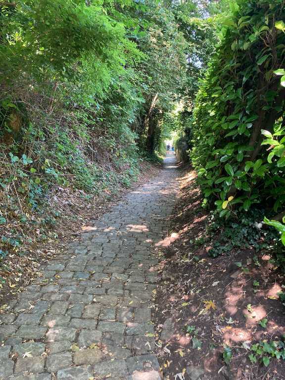 IMG_0204.jpeg.a297e01a654f229309beb39da3fdcb88.jpeg