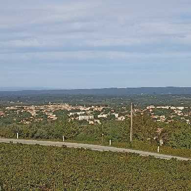 1000038184.jpg.4010323592bb58430caaf8554c314f86.jpg