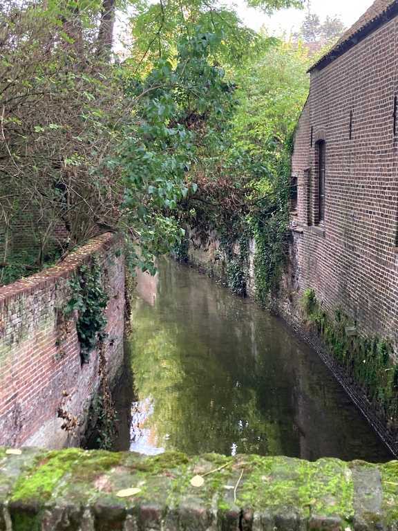 IMG_3843.jpeg.11f5a292d933fd374cf96070cc82d96e.jpeg